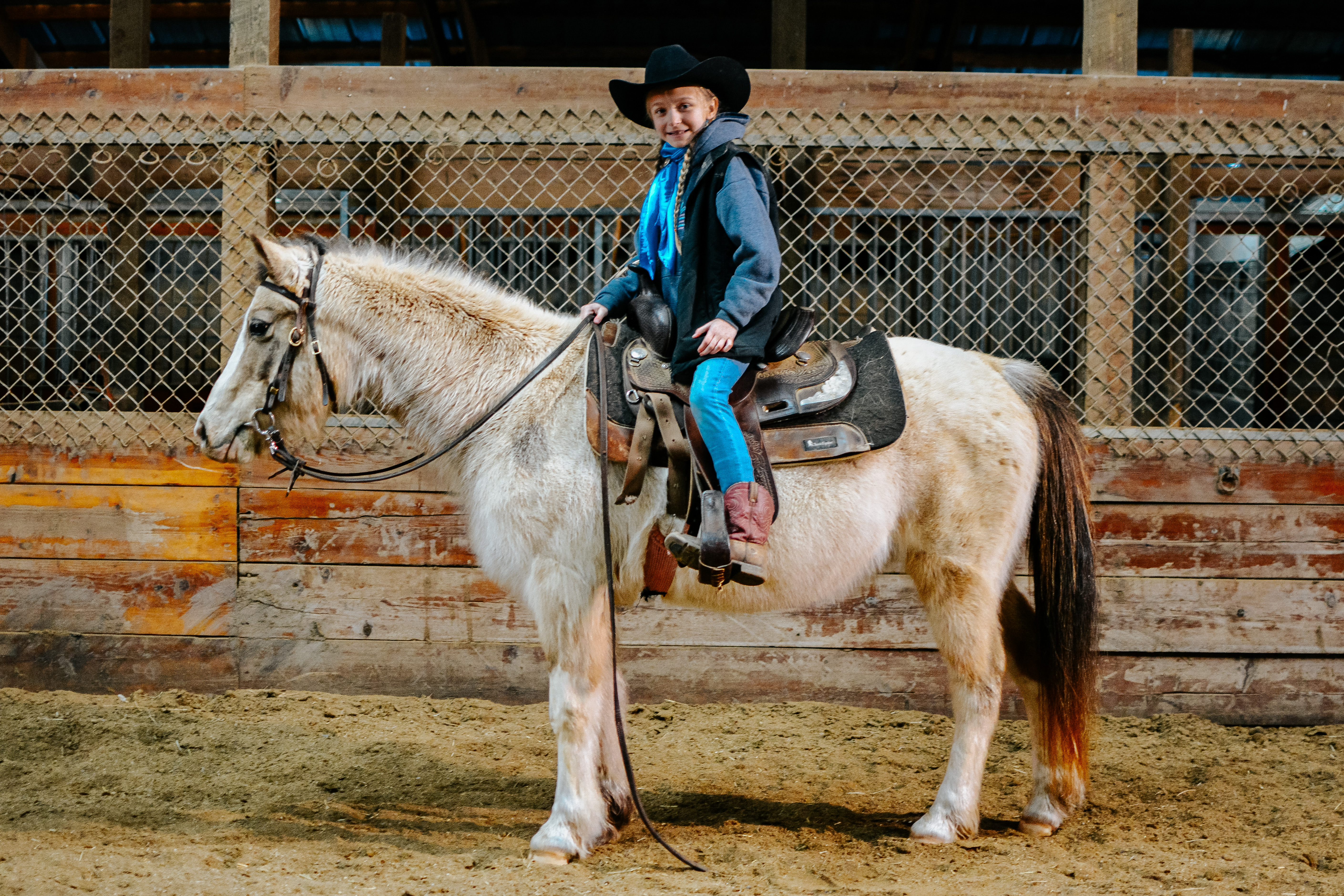 Things You Did Not Know About the Appaloosa - Welcome to Horse Properties  Blog